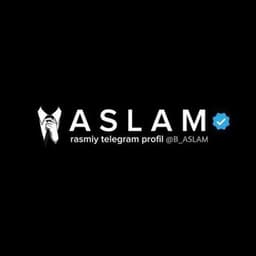Aslam логотип