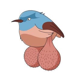 BIG BALLS BIRDS BOT логотип