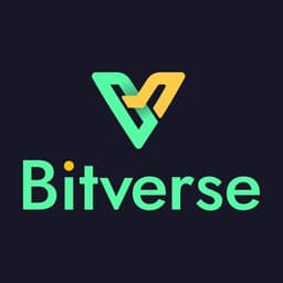 Bitverse Dollar логотип