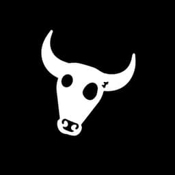 BULLS 𓃓 логотип