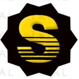 Business Sector логотип