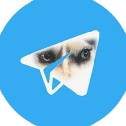 DOGWIFHOOD логотип