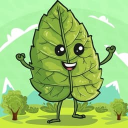$GREEN COIN MEME | SOL логотип