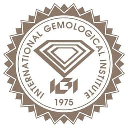 IGI логотип