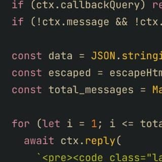 Show JSON Bot логотип
