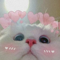 Котя Cards логотип