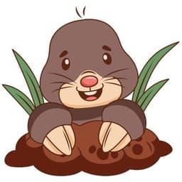 Mole Smash логотип