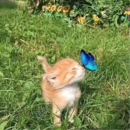 💌 логотип