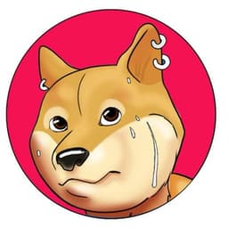 PhysicalDoge Airdrop логотип