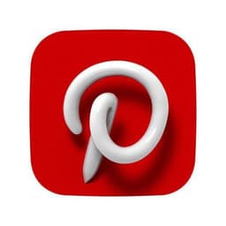 Pinterest TikTok Youtube downloader логотип