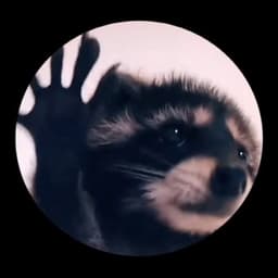 Раскрути енота 🦡 логотип