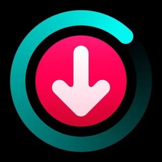 Скачать видео с TikTok, Instagram и Likee логотип