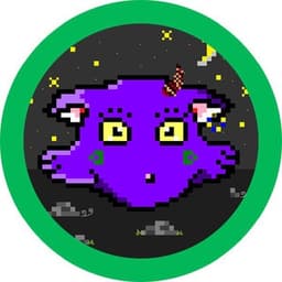Shinami логотип