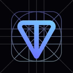 TON Developers логотип