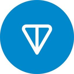 TON DNS логотип
