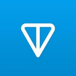 TON中文索引 логотип