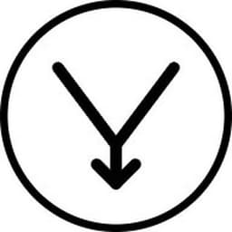 VidVault Downloader логотип