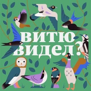 Витю видел? логотип