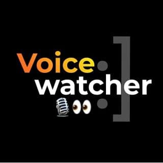 Voice Watcher логотип