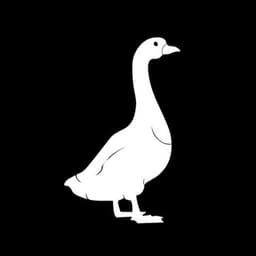 VPN Fast Goose 🪿 логотип